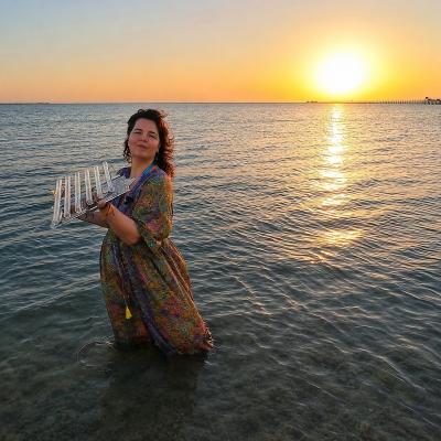 Harfa: plaża